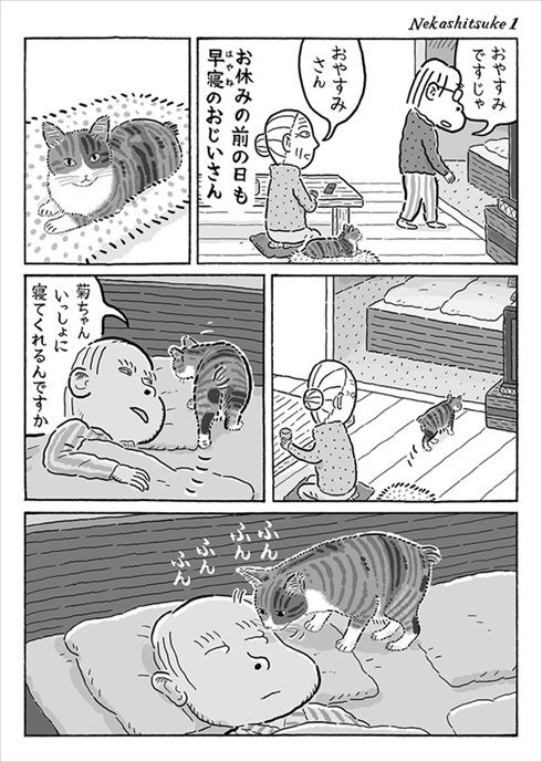 言葉が分かるかのような猫の菊ちゃん