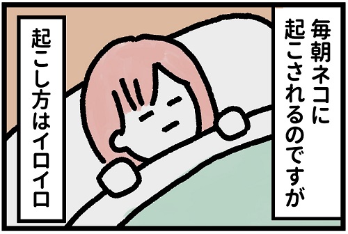 ルルちゃん