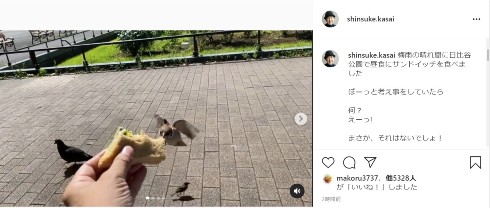笠井信輔 アナウンサー インスタ スズメ 日比谷公園