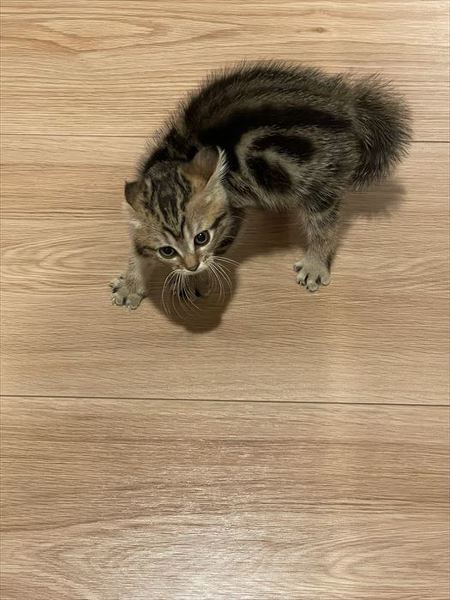 おすすめ
