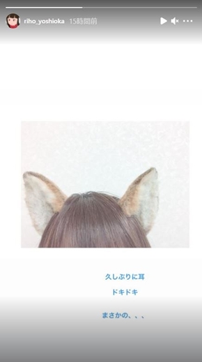 吉岡里帆 どんぎつね どん兵衛 星野源 きつね