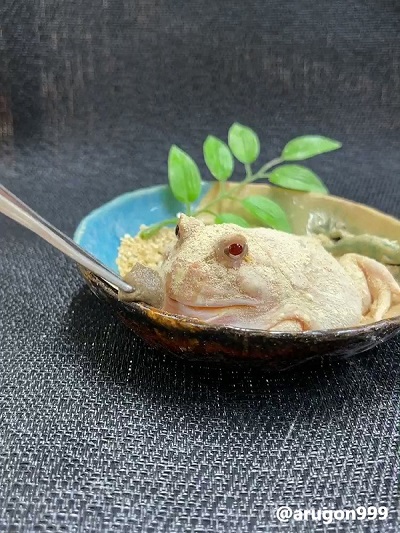 アメフクラガエル