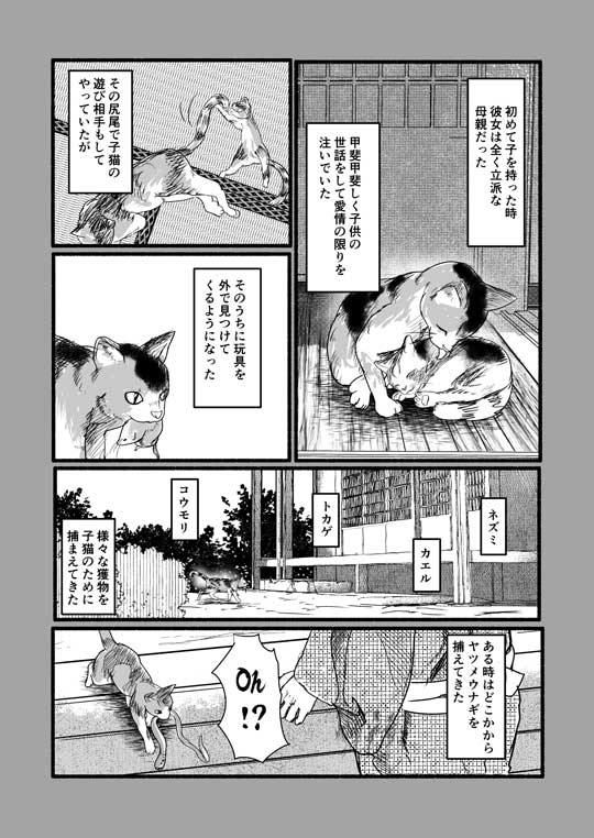 八雲と猫 小泉八雲 作家 飼い猫 夢を見る 漫画