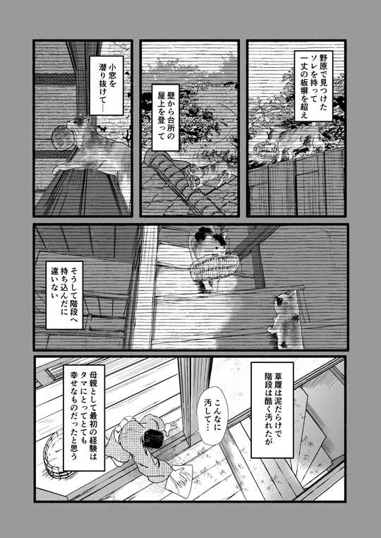 八雲と猫 小泉八雲 作家 飼い猫 夢を見る 漫画