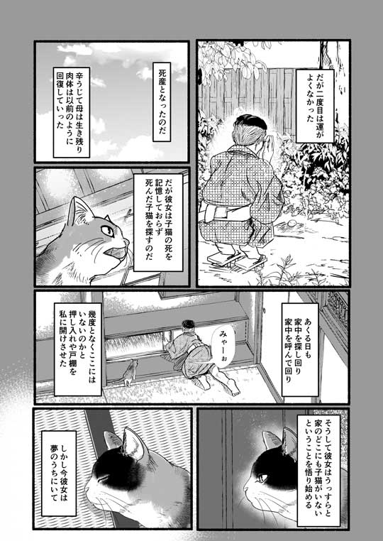 八雲と猫 小泉八雲 作家 飼い猫 夢を見る 漫画