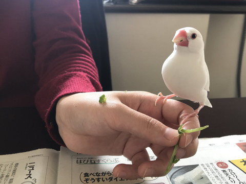 小餅くんいろいろ