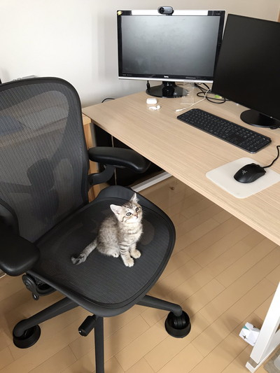 フキちゃんいろいろ