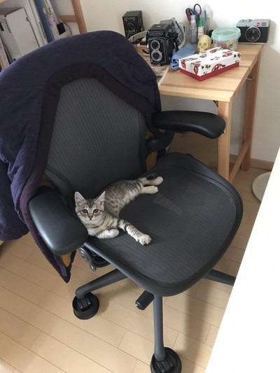 フキちゃんいろいろ