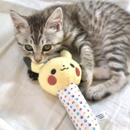 フキちゃんいろいろ