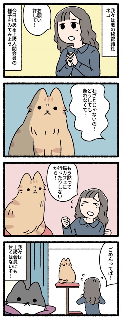 借りてきた猫