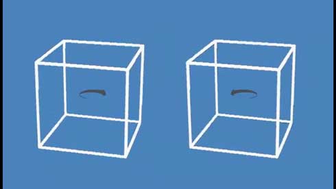 錯視 GIF 動いてない