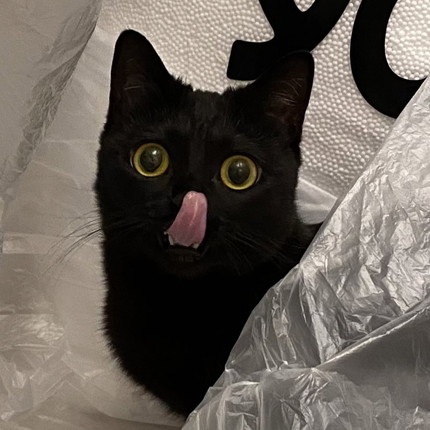 ぺろんぬハーブちゃん