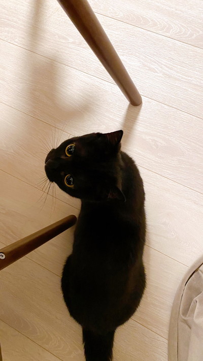 ハーブちゃんいろいろ