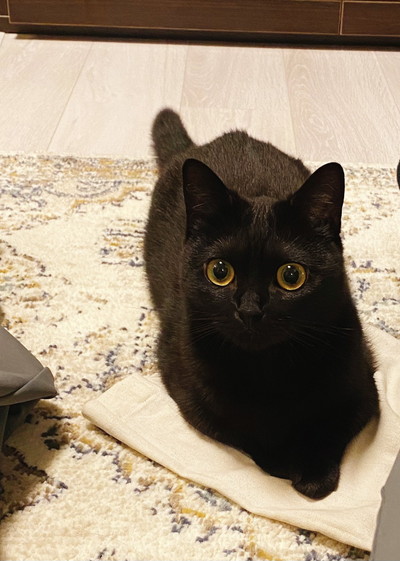 ハーブちゃんいろいろ