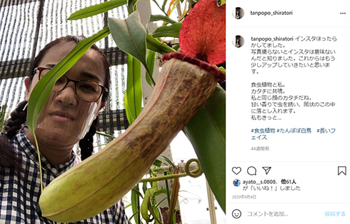 たんぽぽ 白鳥久美子 出産 妊娠 チェリー吉武 ヘアドネーション