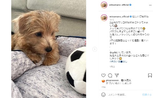 真野恵里菜 愛犬 インスタ スペイン 柴崎岳