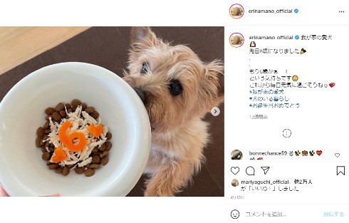 真野恵里菜 愛犬 インスタ スペイン 柴崎岳