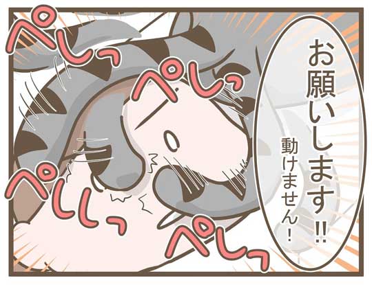 飼い主 猫 お馬さんごっこ 体勢 背中の上 診察 先生