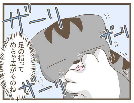 飼い主 猫 お馬さんごっこ 体勢 背中の上 診察 先生