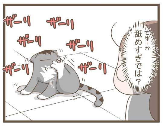 飼い主 猫 お馬さんごっこ 体勢 背中の上 診察 先生