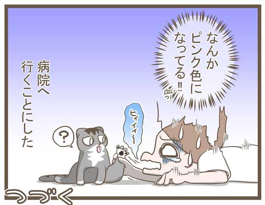 飼い主 猫 お馬さんごっこ 体勢 背中の上 診察 先生