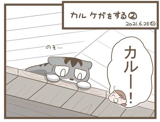 飼い主 猫 お馬さんごっこ 体勢 背中の上 診察 先生