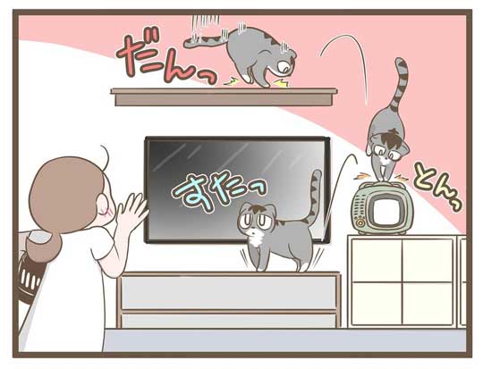 飼い主 猫 お馬さんごっこ 体勢 背中の上 診察 先生