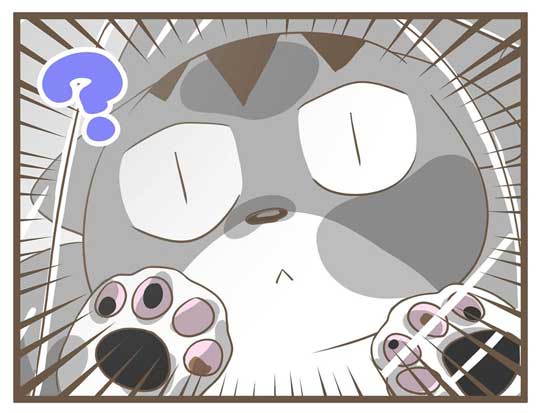 飼い主 猫 お馬さんごっこ 体勢 背中の上 診察 先生