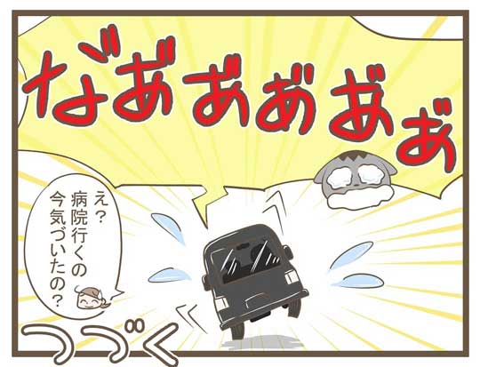 飼い主 猫 お馬さんごっこ 体勢 背中の上 診察 先生