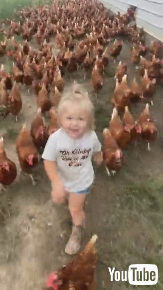 「Adorable Little Girl and Her Army of Chickens || ViralHog」