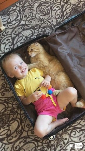 「Kitty and Baby Climb Into Suitcase Together || ViralHog」