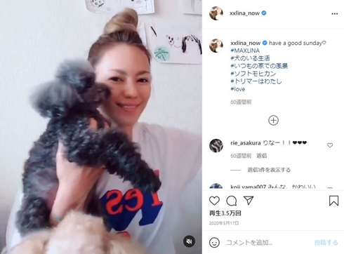 MAX LINA 愛犬 ペットの救命救急法 ライセンス