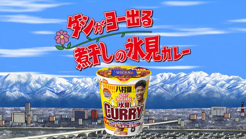 氷見カレー