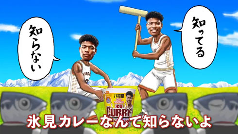 氷見カレー