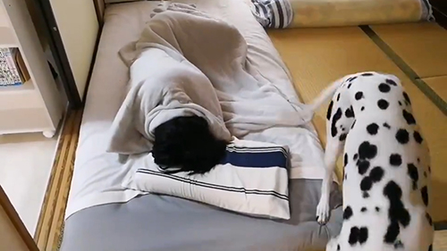 ごあいさつケイトちゃん