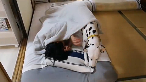 お布団から出るケイトちゃん