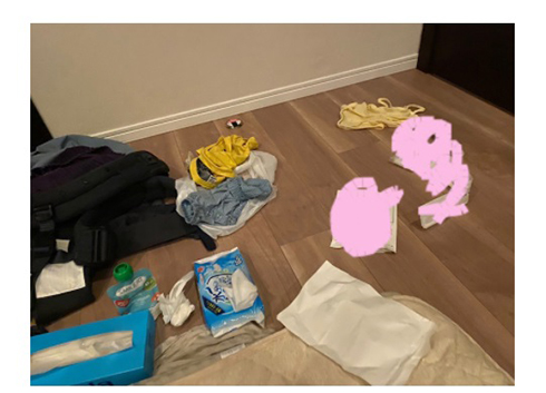 光上せあら SND RSウイルス 胃腸炎