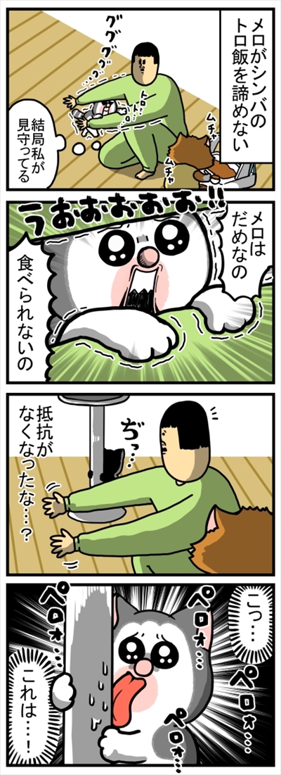 食いしん坊な猫ちゃん