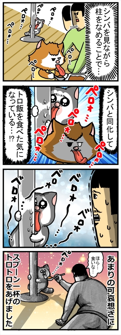 食いしん坊な猫ちゃん