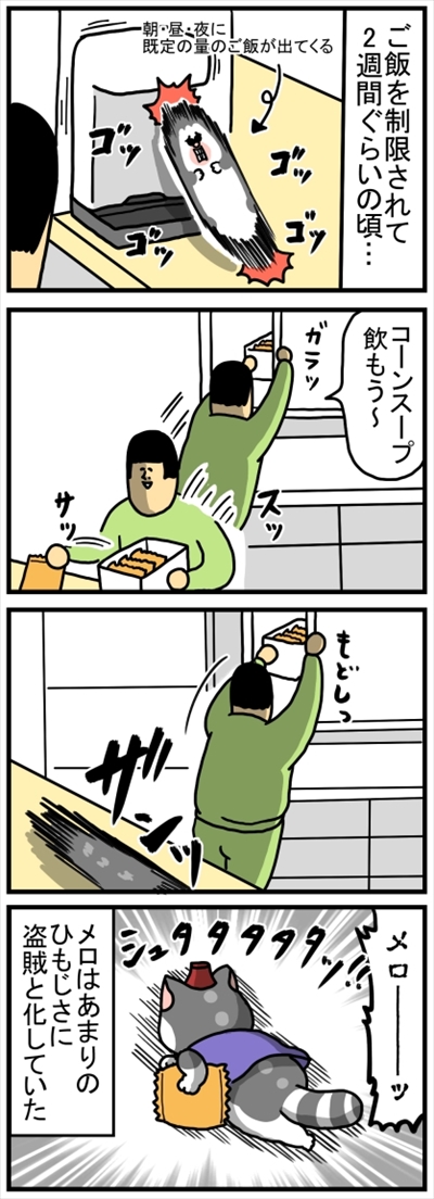 食いしん坊な猫ちゃん