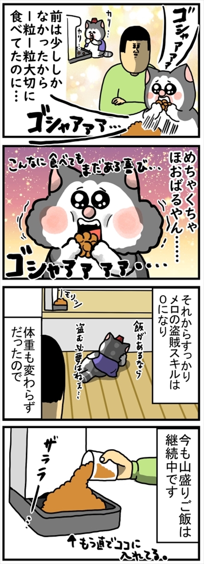 食いしん坊な猫ちゃん
