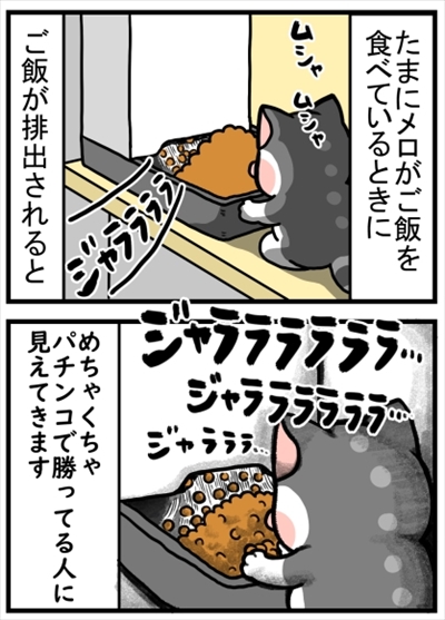 食いしん坊な猫ちゃん