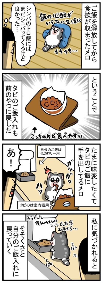 食いしん坊な猫ちゃん