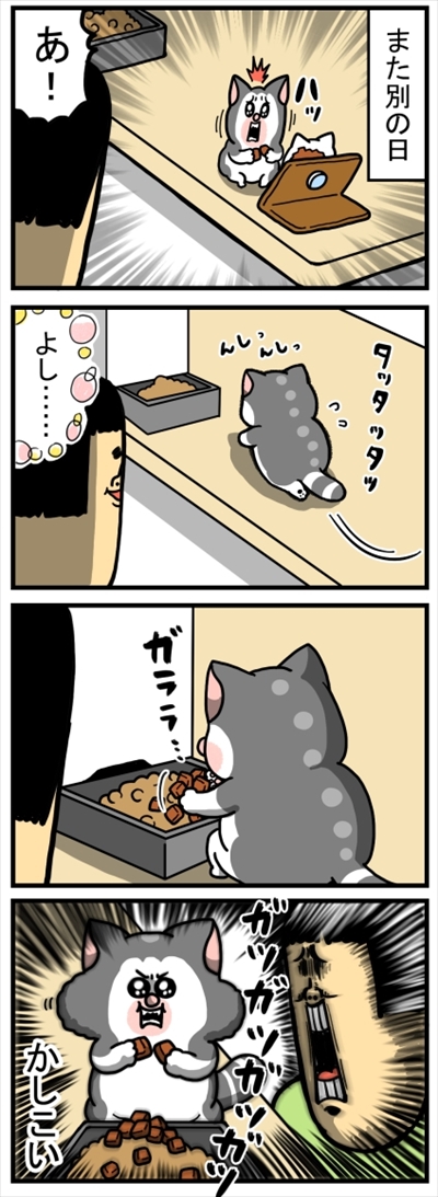 食いしん坊な猫ちゃん
