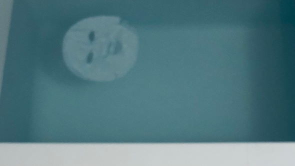 ホラー フェイスパック 写真