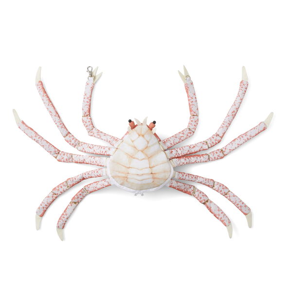 タカアシガニ 脱皮 ぬいぐるみ 新江ノ島水族館 フェリシモ