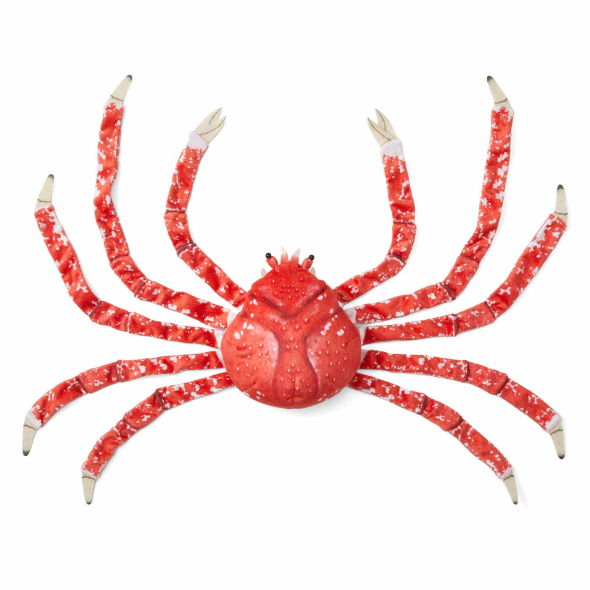 タカアシガニ 脱皮 ぬいぐるみ 新江ノ島水族館 フェリシモ