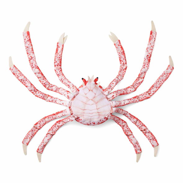 タカアシガニ 脱皮 ぬいぐるみ 新江ノ島水族館 フェリシモ