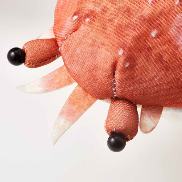 脱皮機能付き”タカアシガニぬいぐるみ登場 リアルにズルっと脱皮