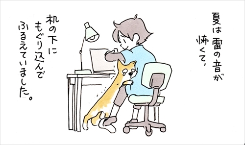 ずっと足元にいるワンちゃん